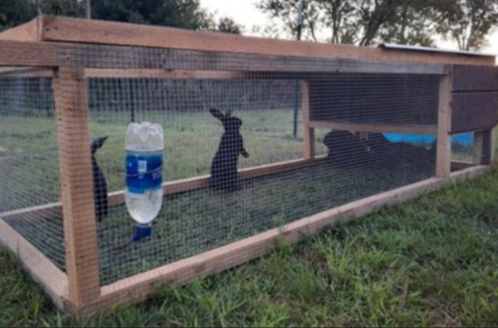 Tractor housing system for rabbits