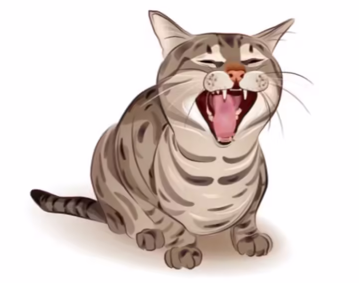 Cat hissing